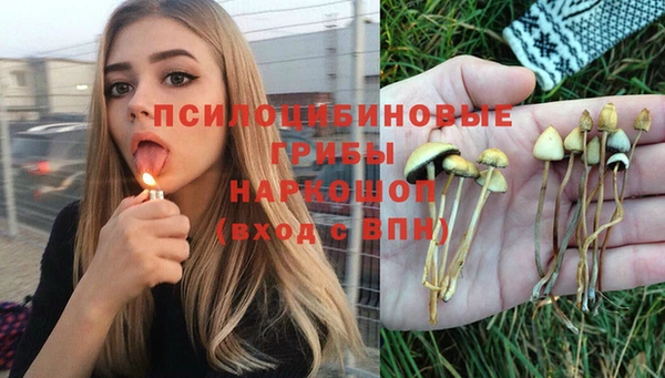 ешки Алзамай
