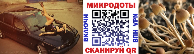 Галлюциногенные грибы Magic Shrooms наркошоп Жуков